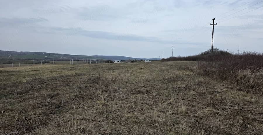 Vindem 6107 mp teren intravilan Paleu — fotografie 1 din 4