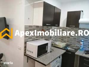 Apartament 1 camere de inchiriat Baneasa Bucuresti  ApexImobiliare.ro — miniatura 6