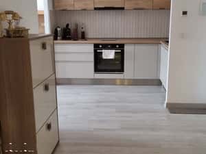 Vitan Barzesti — miniatura 3