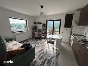 Studio de inchiriat in Busteni, zona Zamora — miniatura 5