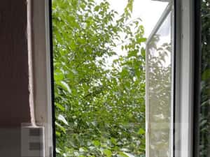 Garsoniera de vanzare, 20 mp, zona Velenta — miniatura 5