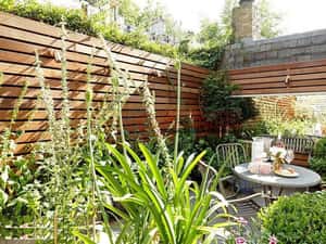 4 camere si curte - Brancoveanu - Oraselul Copiilor — miniatura 1