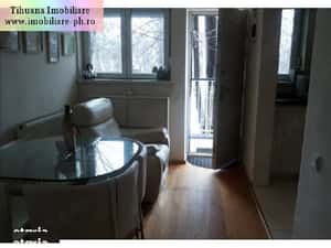 Apartament 2 camere de inchiriat : Bulevardul Castanilor
