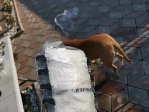 Airbag volan Logan și pasager dacia Logan 3 sandero 3 jogger 2021/2022 — miniatura 8