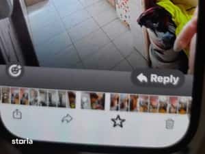 Apartament 2 camere semidecomandat — miniatura 4