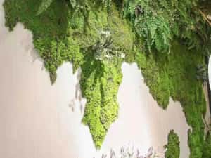 Covor panou verde aspect natural muschi 1mx1m — miniatura 8