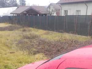 Renault Clio Symbol 2005 Motorina — miniatura 4