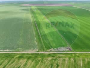 Teren de vanzare in Săcele ideal pentru silozuri, fermă 6 ha — miniatura 6