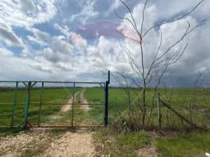 Teren de vanzare in Săcele ideal pentru silozuri, fermă 6 ha — miniatura 8