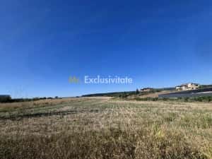 Teren pentru constructie casa cu utilitati – Ciolpani, zona Izvorani
