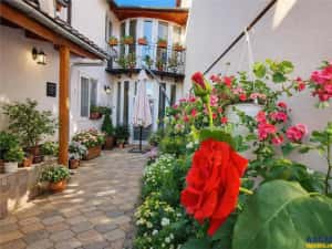 Pe incantare florala, casa cu 5 camere, curte individuala, Central, Brasov — miniatura 1
