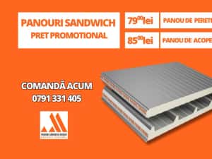 Cel mai bun pret–Panouri sandwich de perete si acoperis, 40 mm de la 79 lei/mp — miniatura 3