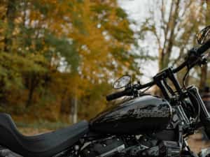 Harley-Davidson Street Bob 2020 – 9.000 kilometri – stare impecabilă — miniatura 4