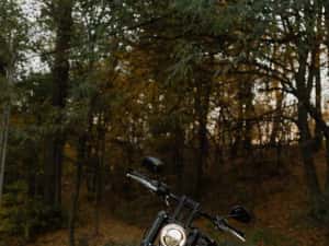Harley-Davidson Street Bob 2020 – 9.000 kilometri – stare impecabilă — miniatura 7