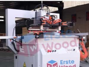 Masina de gaurit multiplu cu doua grupuri gaurire EW-732 — miniatura 6