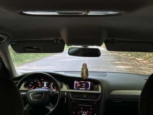 Audi A4 B8.5 Facelift/ 2013 2.0 TDI Euro 5 — miniatura 7