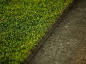 Producător rulouri de gazon ferma Ilfov — miniatura 2