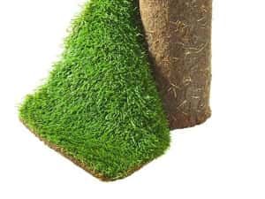 Producător rulouri de gazon ferma Ilfov — miniatura 7