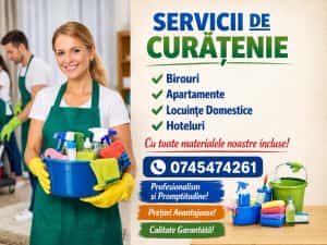 Servicii Profesionale de Curățenie — miniatura 2