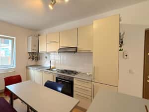 Apartament 1 camera, cart.Manastur, zona Negoiu, parcare, balcon, et.i — miniatura 6