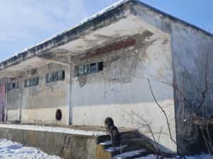 Proprietate industrială de vânzare – Caracal, Str. Siloz — miniatura 5