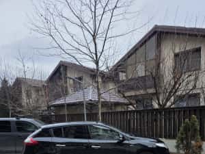 Renault Megane 3 Bose Edition