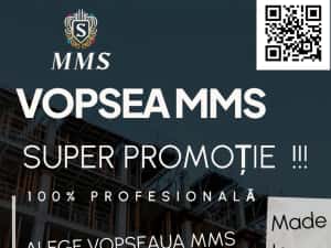 vopseamms.ro  " SUPER PROMOȚIE"  PREȚURI  WOW  !!! — miniatura 4