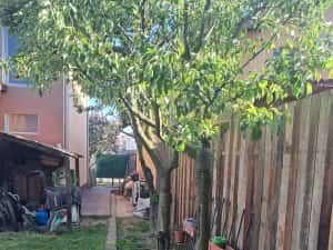 Casa individuala CU 3 CAMERE 3 locuri de parcare Giroc — miniatura 5