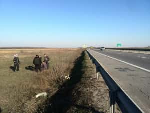 Teren 8000mp A1 km67 pasarela Exit -GAESTI-  8000mp — miniatura 4