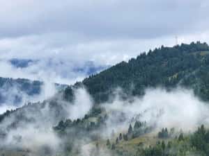 Cabană  A-frame Apuseni cazare — miniatura 7