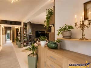 Vila cu dubla valoare, 606mp teren, terase: Resedinta si sau Business Premium, Tractorul, Brasov — miniatura 6