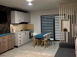 De inchiriat apartament 2 camere Damila Ford. — miniatura 2