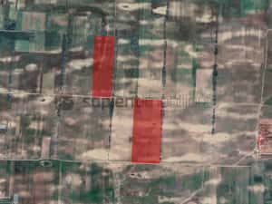 Sapient | Teren agricol _ loc. Desa, jud. Dolj