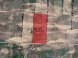 Sapient | Teren agricol _ loc. Desa, jud. Dolj — miniatura 2