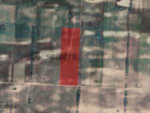 Sapient | Teren agricol _ loc. Desa, jud. Dolj — miniatura 3