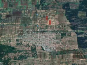 Sapient | Teren agricol _ loc. Desa, jud. Dolj — miniatura 4