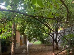 Casa 3 camere cu 2 fronturi plus 860 mp Lipovei-Aradului 178000 euro — miniatura 1