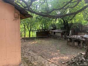 Casa 3 camere cu 2 fronturi plus 860 mp Lipovei-Aradului 178000 euro — miniatura 2