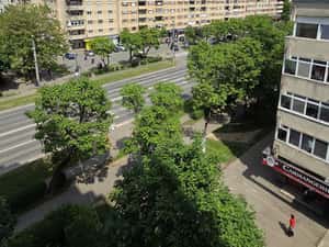 Apartament 3 camere etaj intermediar– Drumul Careiului