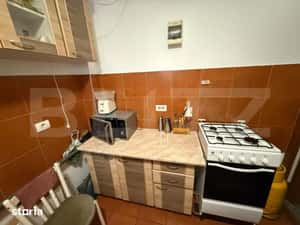 Apartament cu 1 camera la casa, cu curte generoasa – pet friendly — miniatura 5