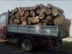 Nisip,Sort , balastru și Lemne de foc — miniatura 8