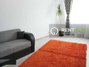 Apartament cu 1 camera de inchiriat in Podul de Fier — miniatura 2