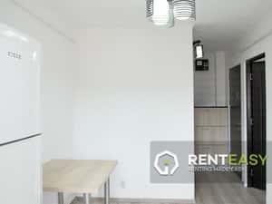 Apartament cu 1 camera de inchiriat in Podul de Fier — miniatura 5