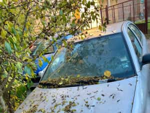 Vând în Lugoj, Skoda Octavia Tour M1 AA berlina, pe motorină, motor AXR, 1.9 TDI, 101 CP, 74 kw — miniatura 4