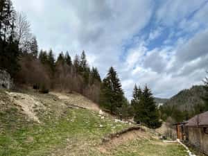 Teren de vanzare — miniatura 6