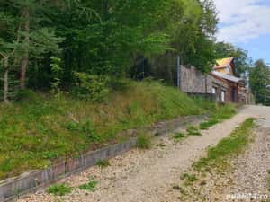 Teren intravilan in Dambu Morii - Timisul de Jos — miniatura 1