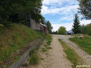 Teren intravilan in Dambu Morii - Timisul de Jos — miniatura 2