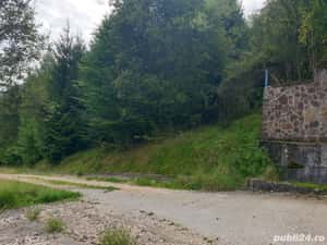 Teren intravilan in Dambu Morii - Timisul de Jos — miniatura 3