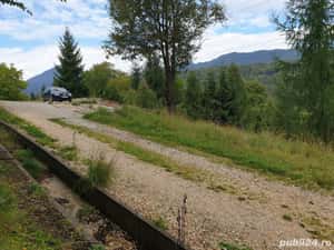 Teren intravilan in Dambu Morii - Timisul de Jos — miniatura 4