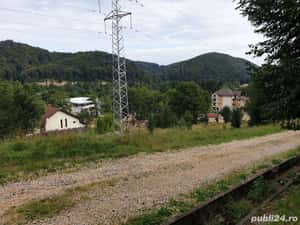 Teren intravilan in Dambu Morii - Timisul de Jos — miniatura 5